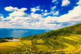 東後畑棚田