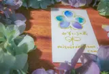 みずいろの花