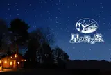 星の降る森