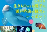 宮島水族館 みやじマリン