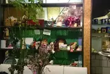 画廊喫茶ミロ