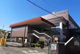 アイビーボール向島