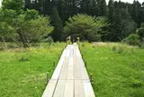 チバニアン 地球磁場逆転地層