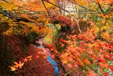 帝釈峡
