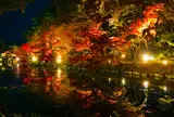 神勝禅寺 紅葉ライトアップ特別拝観