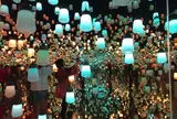 デジタルアート ミュージアム（MORI Building Digital Art Museum: EPSON teamLab Borderless）