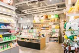 LINE FRIENDS Store 明洞店（라인프렌즈 롯데백화점 영플라자 명동점）