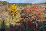 小原ふれあい公園
