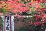 曽木公園