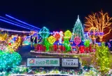 鳥取県立フラワーパークとっとり花回廊