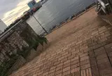 水の広場公園