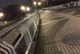 新左近川親水公園