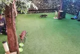 嵐山フクロウとヒョウ猫の森