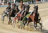 ヴィノーヴォ競馬場