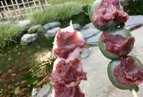 栗林公園