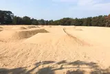 琴弾公園