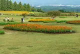 生駒高原