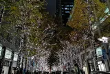丸の内仲通り