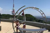 湘南平（高麗山公園）