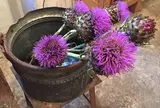 はいいろオオカミ+花屋 西別府商店