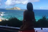 North Shore Shark Adventures