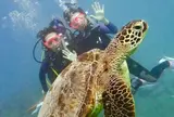 Sunshine Scuba