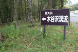 木谷沢渓流