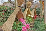 鶴岡八幡宮 神苑 ぼたん庭園