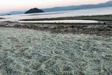 ガラスの砂浜