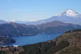大観山