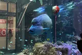 イオンモール沖縄ライカム