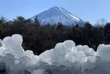 西湖野鳥の森公園