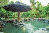 湯快リゾート 芦原温泉 青雲閣