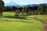 神奈川県立花と緑のふれあいセンター 花菜ガーデン