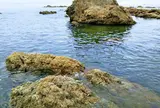 笹川流れ