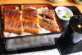 大はかや
