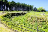 諏訪原城跡
