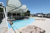 海ほおずき