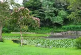 山田富士公園