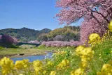 みなみの桜と菜の花街道
