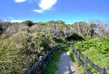天神島臨海自然教育園