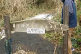 月と砂漠ライン駐車場