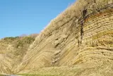 地層大切断面