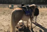 シーガイア乗馬クラブＵＭＡＩＲＵ