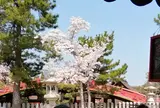 宮島帆布