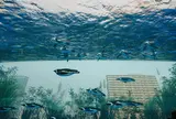 サンシャイン水族館