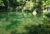 出流原弁天池