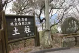 阿波の土柱