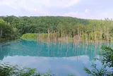 青い池