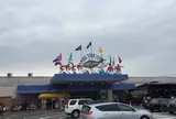 とれとれ市場